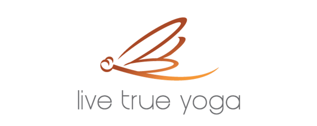 horizontal logo 1024x408 1