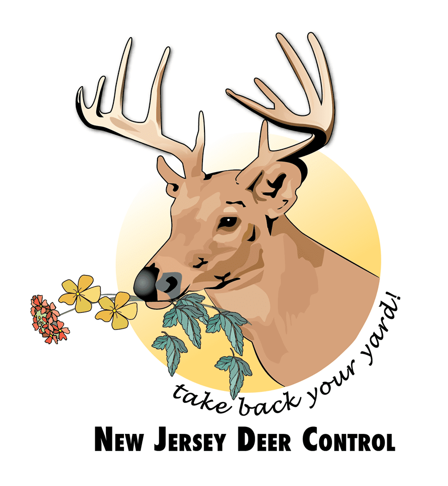 DeerControl Logo