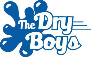 dryboys logo 300x187 1