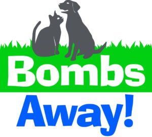 Bombs Away Logo Transparent