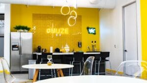 unique franchise opportunity