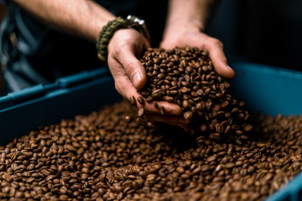 Worker,Holding,Coffee,Beans,In,His,Hands,Checks,The,Quality