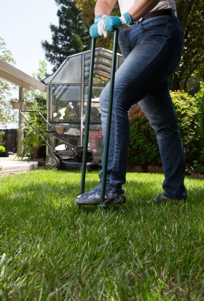 Woman,Is,Aerating,Lawn,By,Manual,Aerator,In,Back,Yard