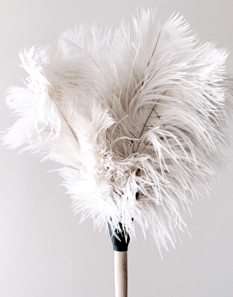 Dusting5jpg