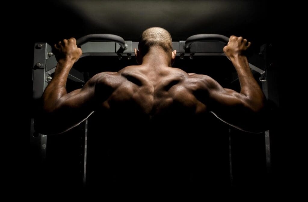 Ultraflex Gym2