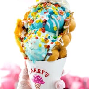 Larrys Ice Cream and Cafe 24