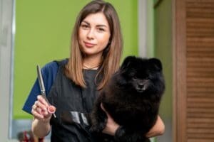 The Doggie Barber 13